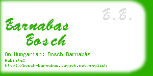barnabas bosch business card